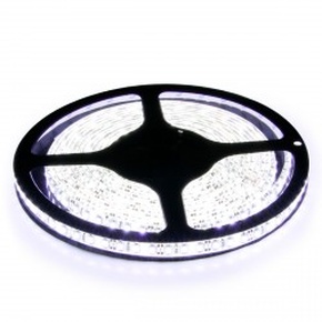 Світлодіодна Стрічка Biom 3528-120 IP20, 6000K, 1М