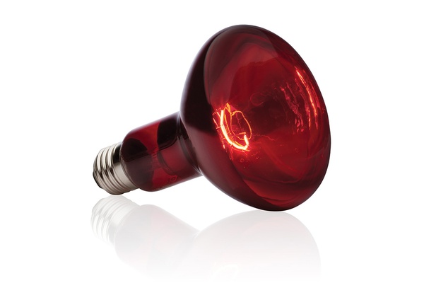 Красные лампы для обогрева: характеристики и сфера применения.