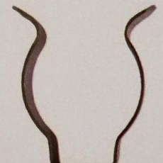 Кронштейн для ламп Т8